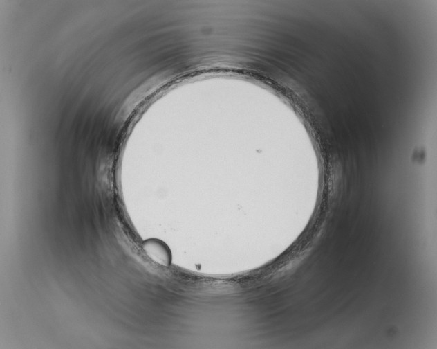 X0000112931113200910051125