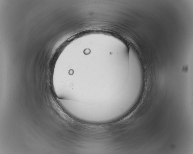 X0000112931114200910051125