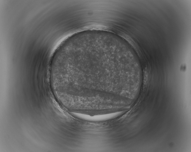 X0000112931115200910051125