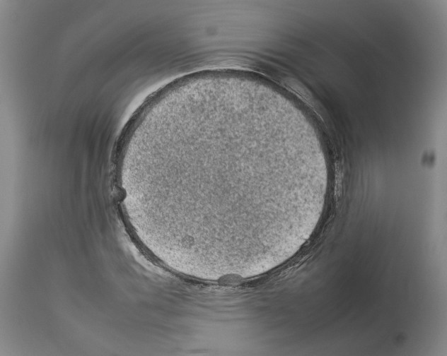 X0000112931116200910051125