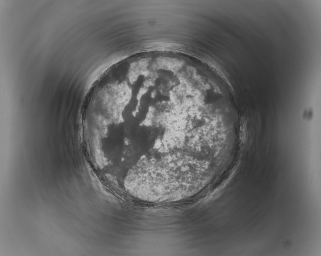 X0000112931117200910051125