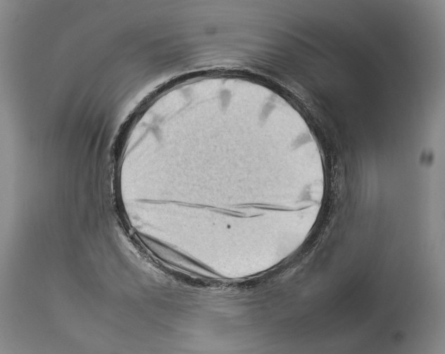 X0000112931118200910051125
