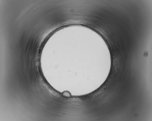X0000112931119200910051125