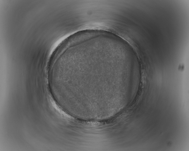 X0000112931120200910051125