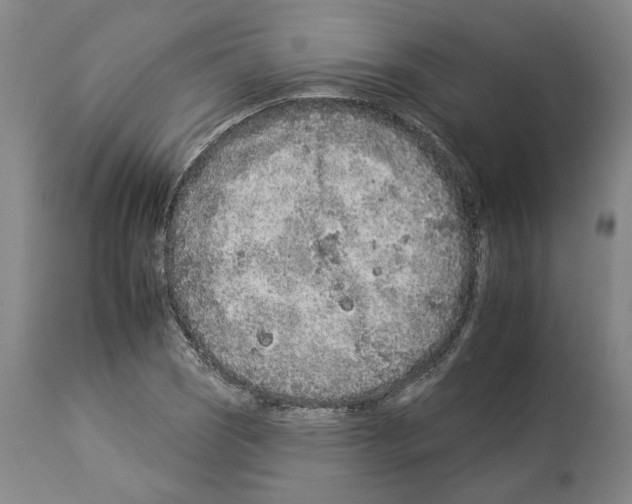 X0000112931121200910051125