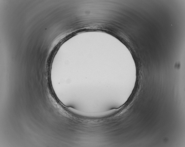 X0000112931122200910051125