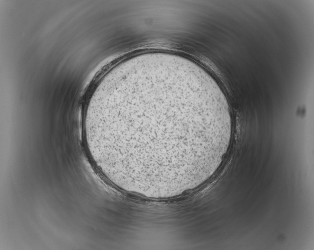 X0000112931123200910051125