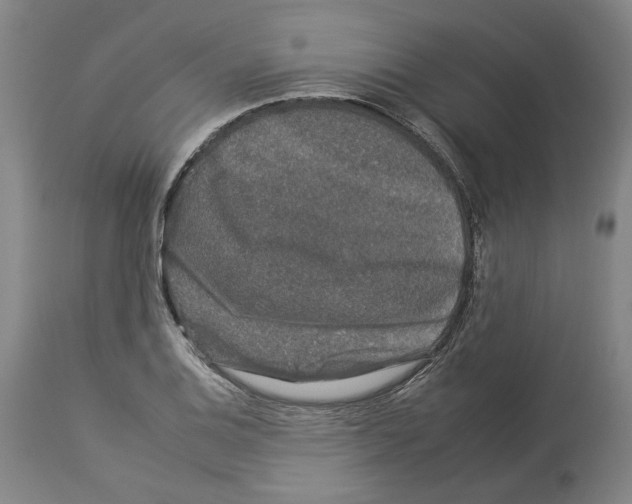 X0000112931124200910051125