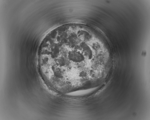X0000112931125200910051125