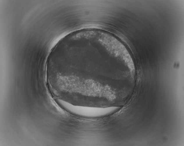 X0000112931127200910051125