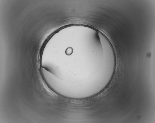 X0000112931128200910051125