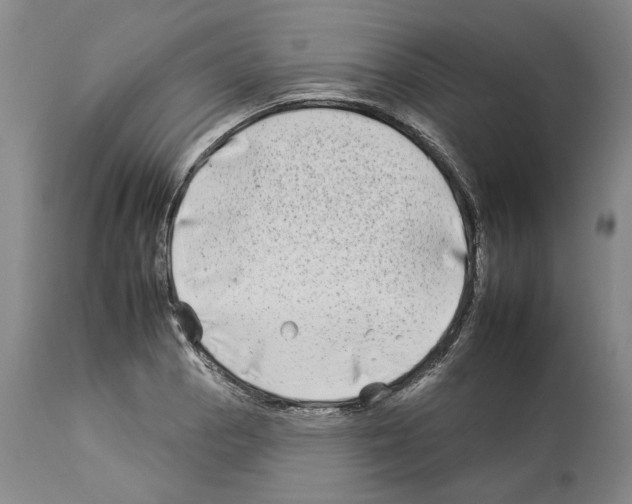 X0000112931129200910051125