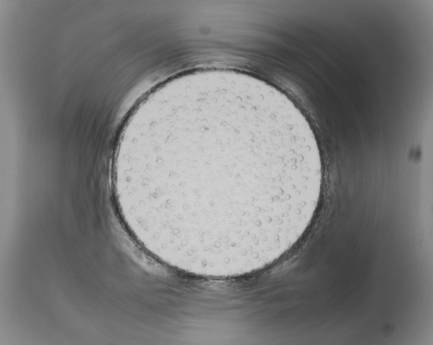 X0000112931130200910051125