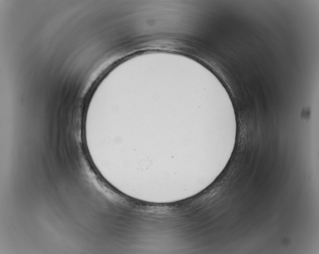 X0000112931131200910051125