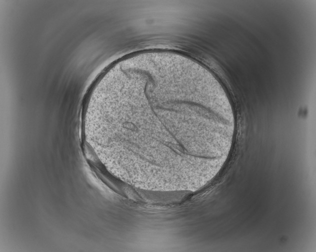 X0000112931132200910051125
