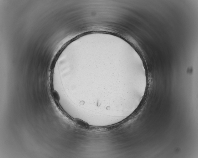 X0000112931133200910051125