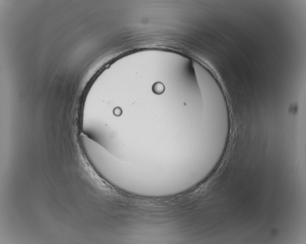 X0000112931138200910051125