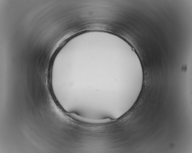 X0000112931139200910051125