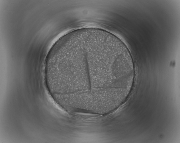 X0000112931142200910051125