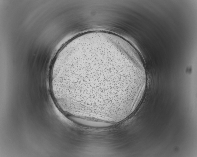 X0000112931143200910051125