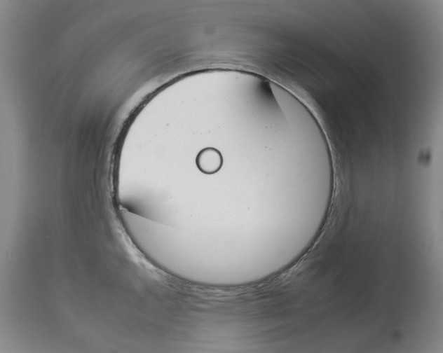 X0000112931144200910051125