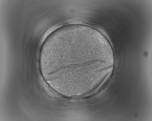 X0000112931146200910051125