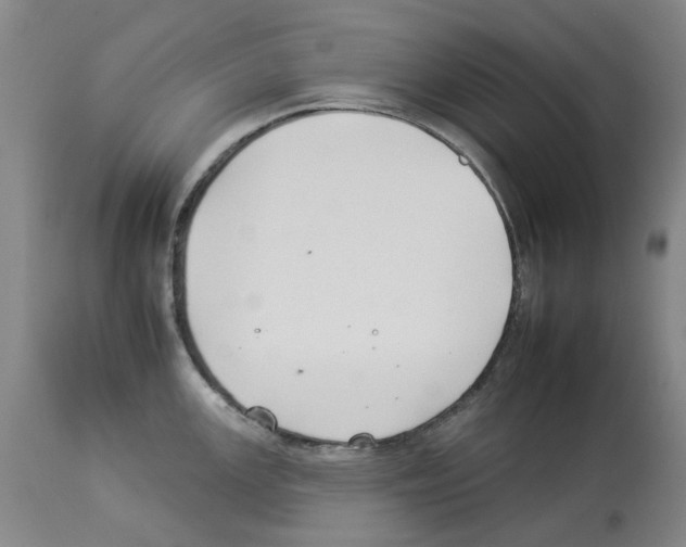 X0000112931147200910051125