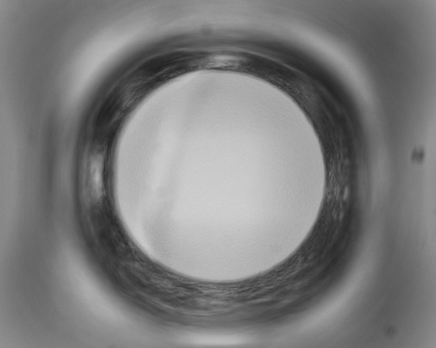 X0000112931150200910051125
