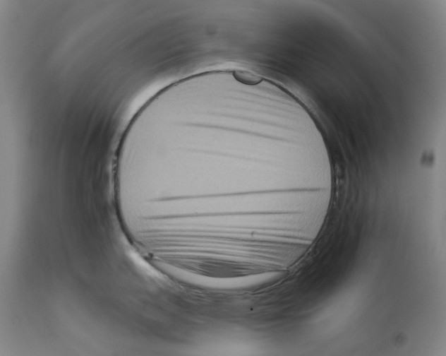 X0000112931151200910051125