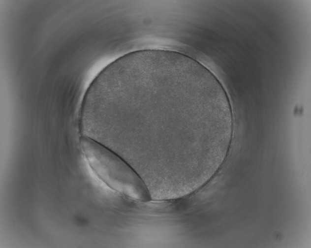 X0000112931152200910051125