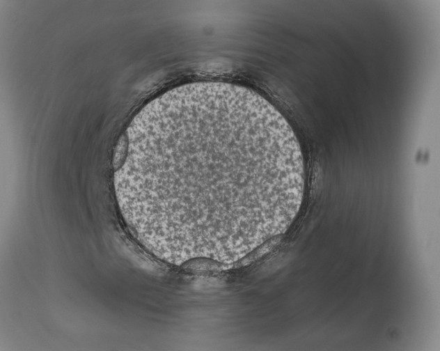 X0000112931153200910051125