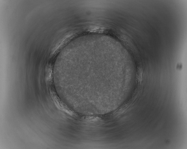 X0000112931154200910051125