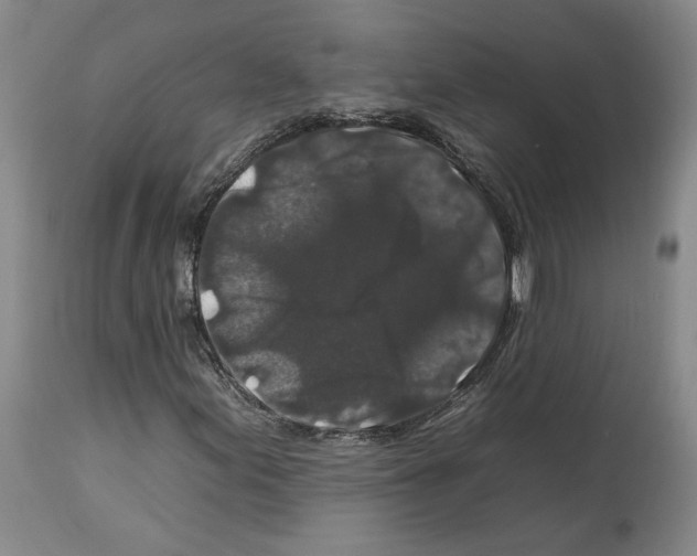 X0000112931155200910051125