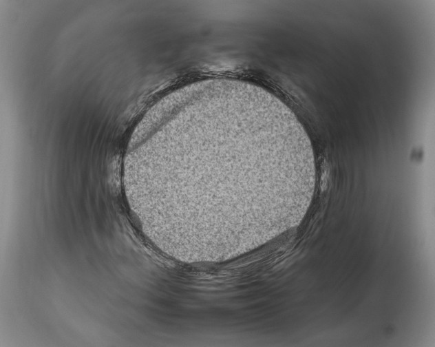 X0000112931156200910051125