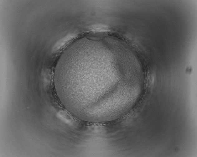 X0000112931157200910051125