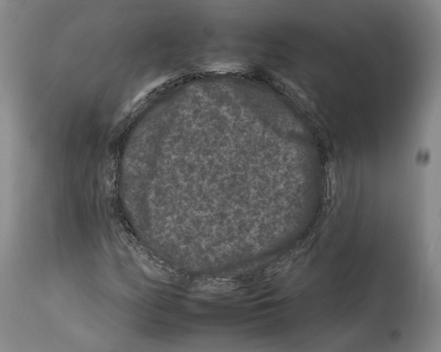 X0000112931158200910051125