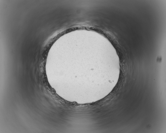 X0000112931159200910051124