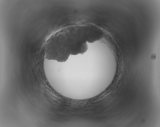 X0000112931160200910051124