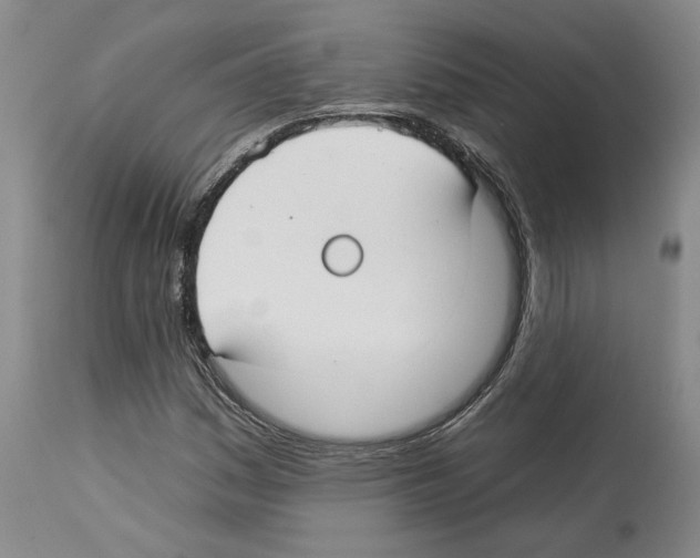 X0000112931161200910051124