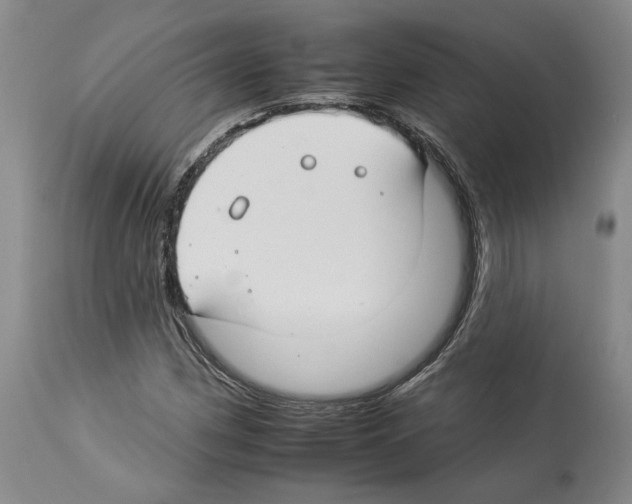 X0000112931162200910051124