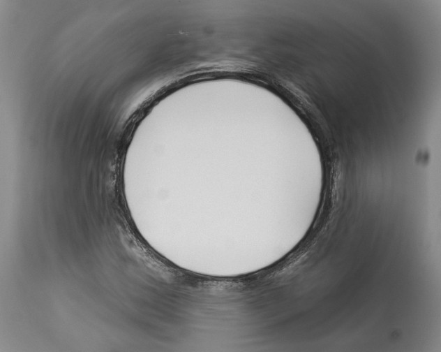 X0000112931163200910051124