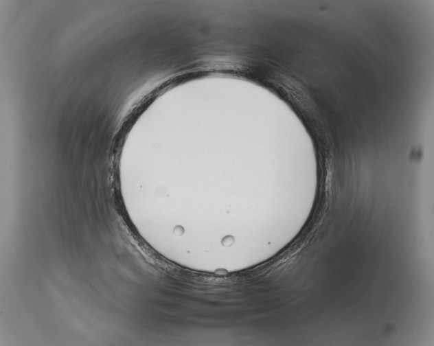 X0000112931164200910051124