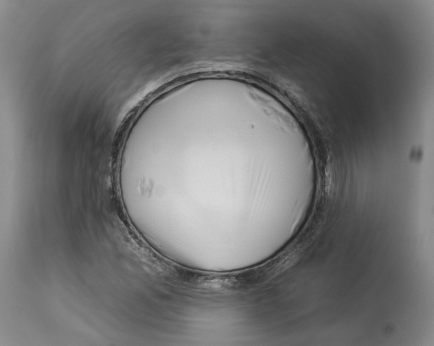 X0000112931165200910051124