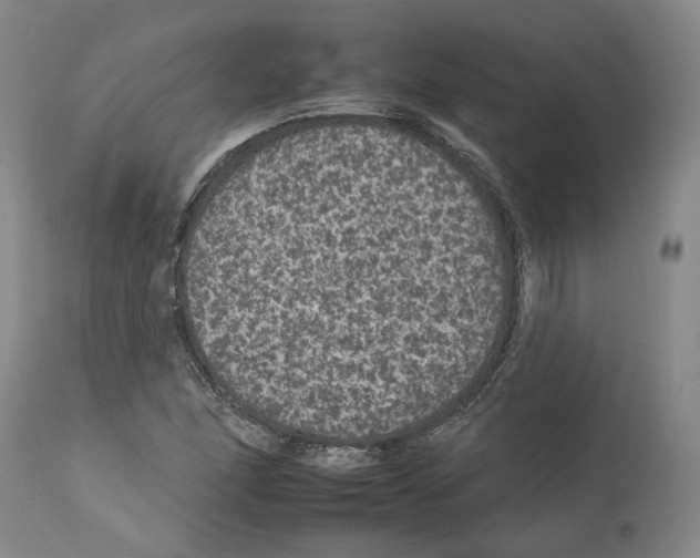 X0000112931166200910051124