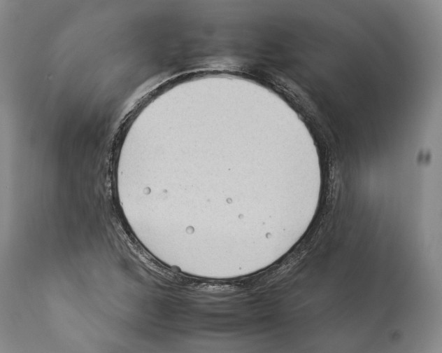 X0000112931168200910051124