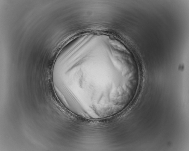 X0000112931169200910051124