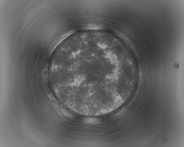 X0000112931170200910051124