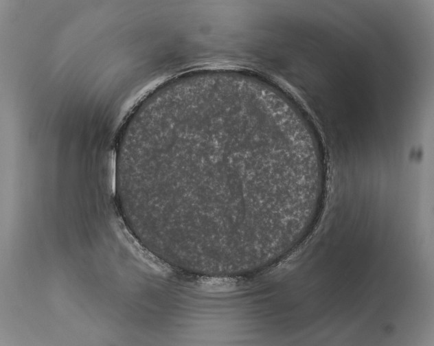 X0000112931171200910051124