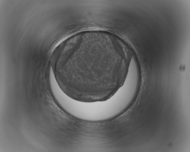 X0000112931173200910051124