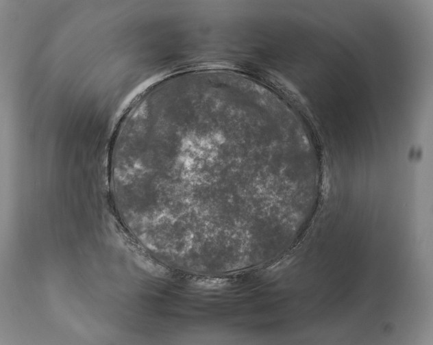 X0000112931174200910051124